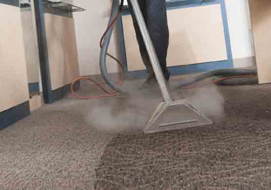 Carpet Steam Cleaning  Experts Lockleys