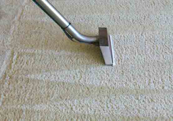 Best Carpet Cleaning Lockleys